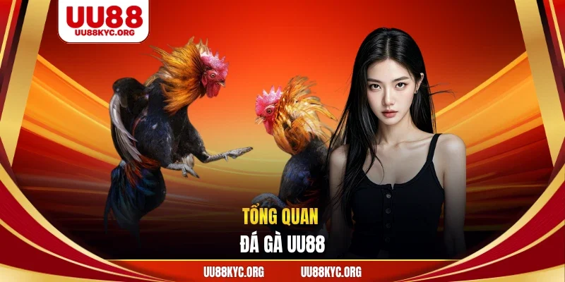 Tổng quan đá gà UU88